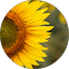 unnamed - 2026-07-21T215416.552