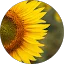 unnamed - 2026-07-21T215416.552